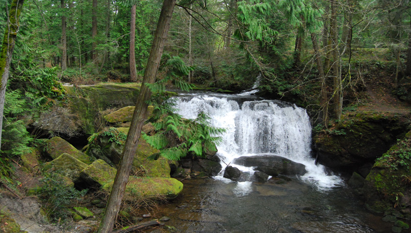 wHATCOM FALLS 2