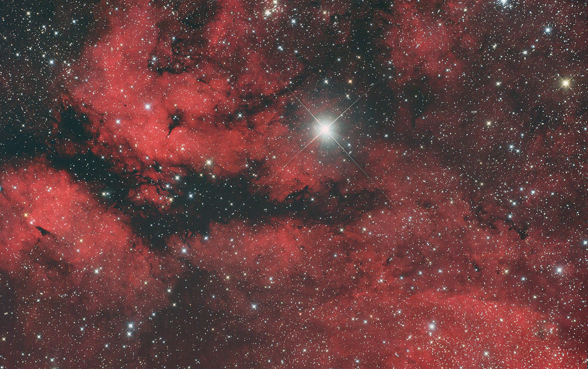 IC 1318