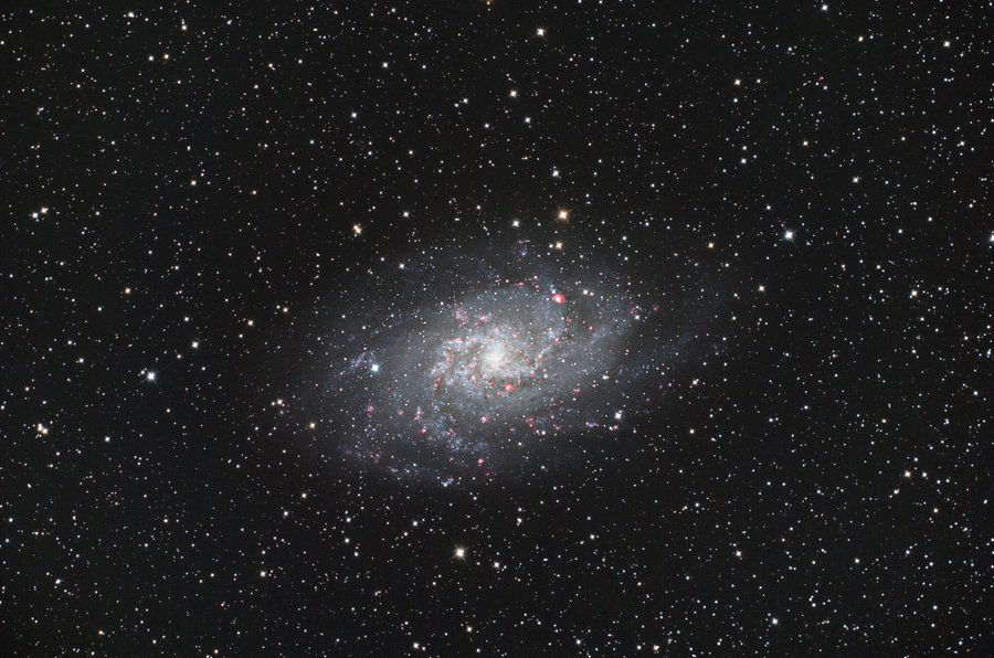 M33