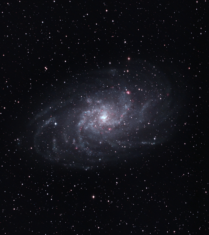 The Triangulum Galaxy - ( M33, NGC 598)