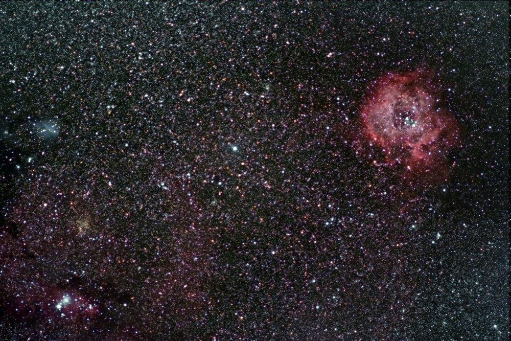 Rosette widefield