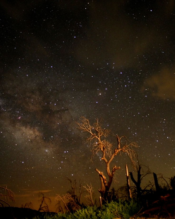 4 of July milky way