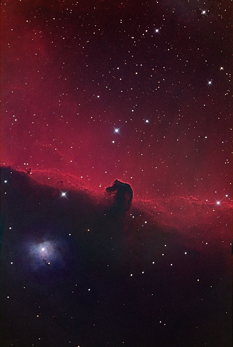Horsehead