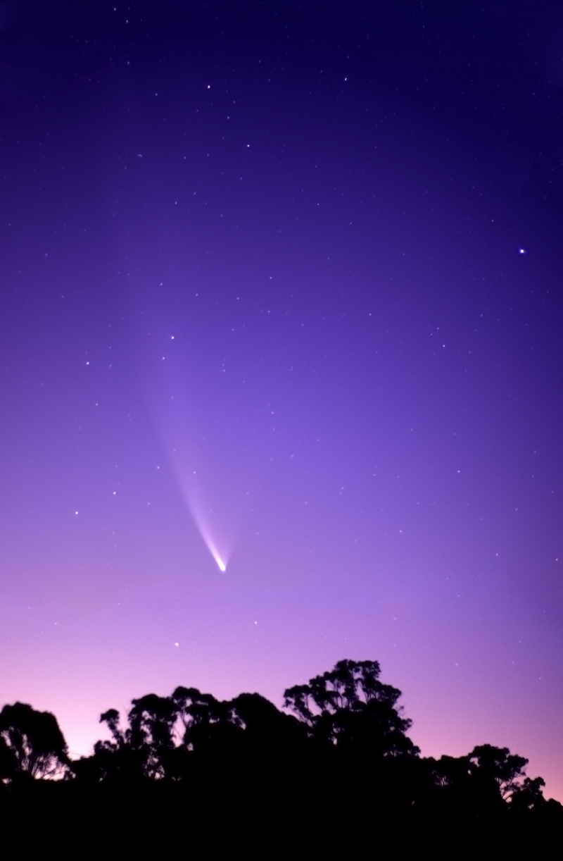 Comet Mc Naught