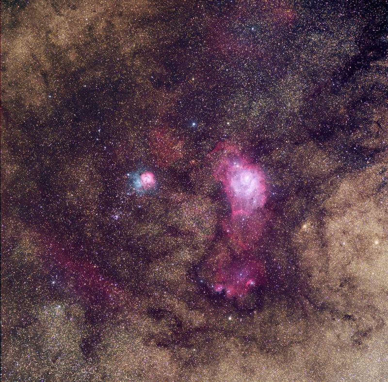 M8 and M20 widefield