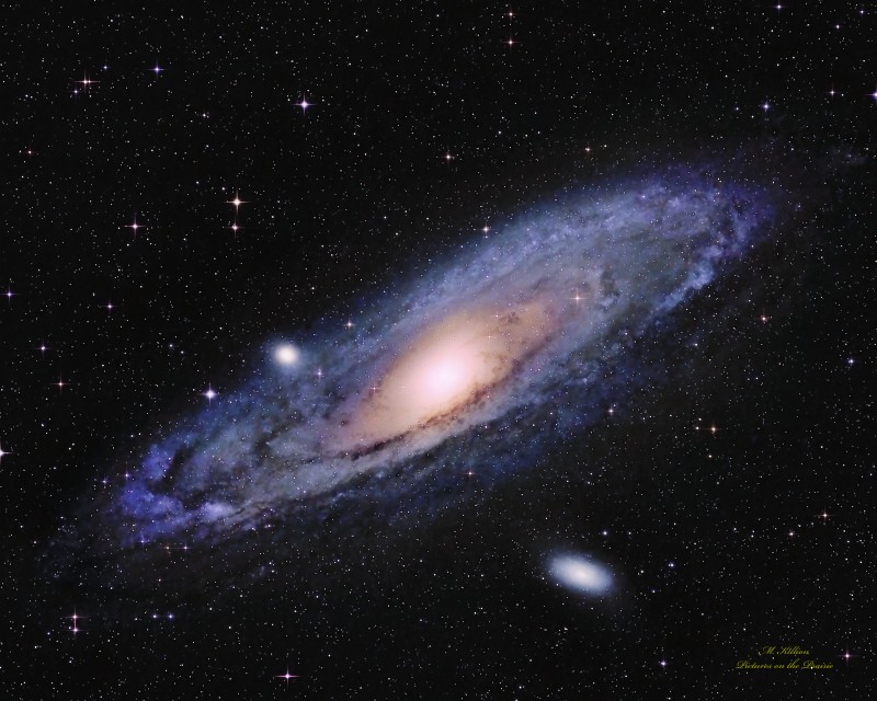 M31
