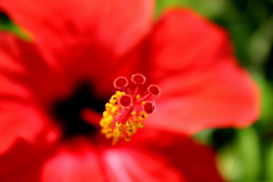 playing with Macro