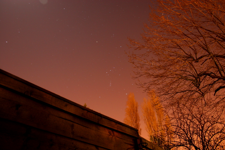 Orion from light polluted Garden