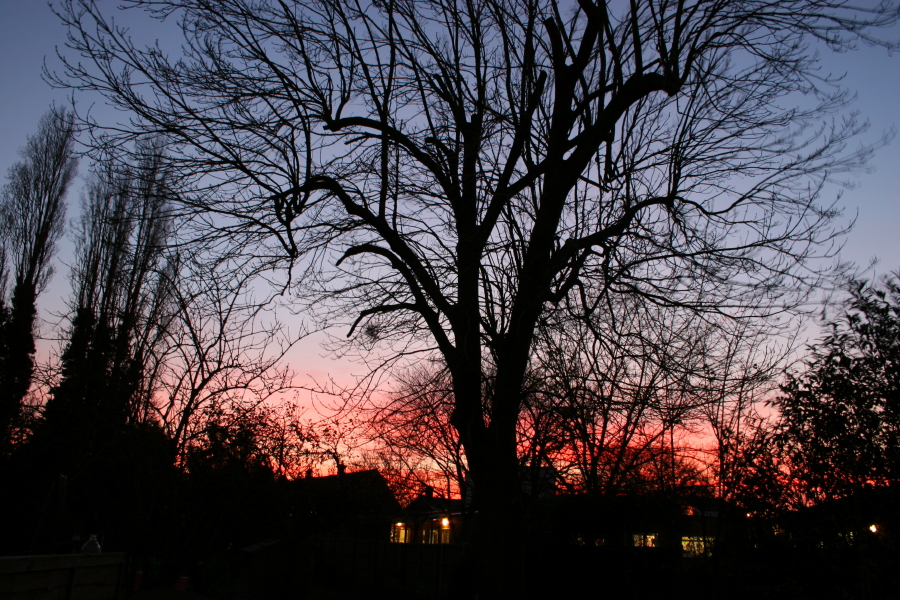 Sunset from my back door.