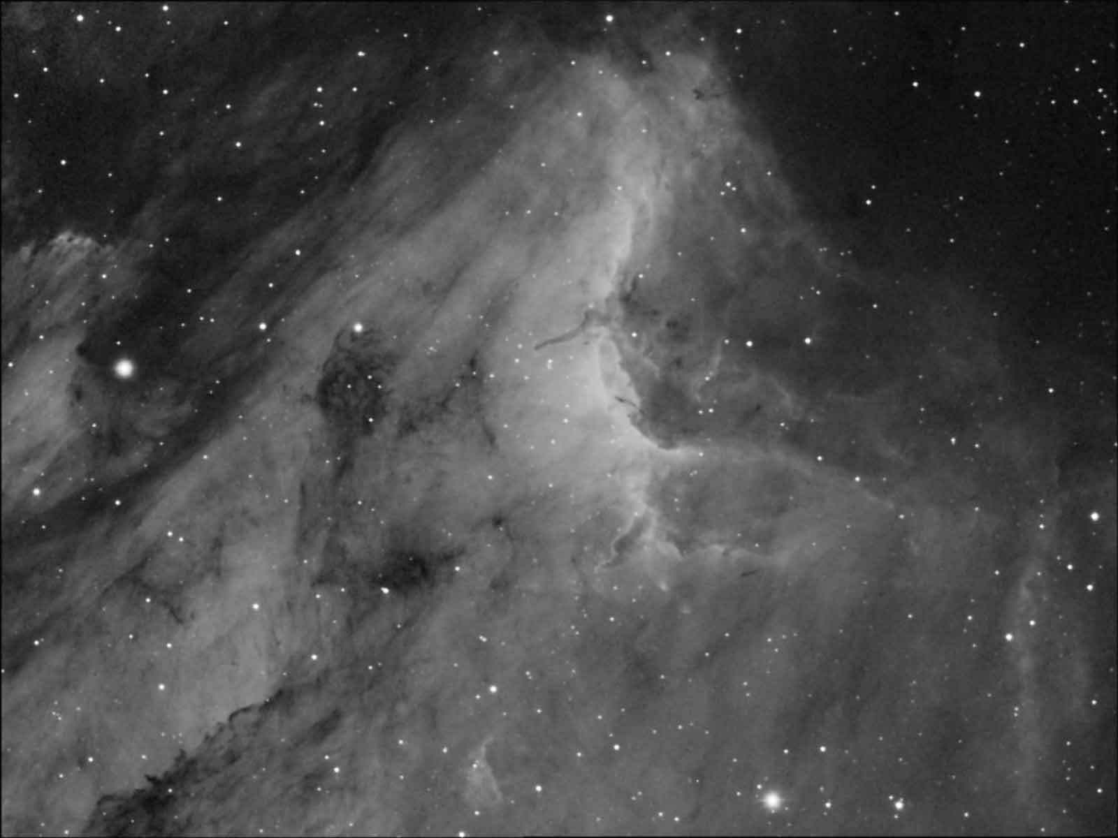  Pelican nebula