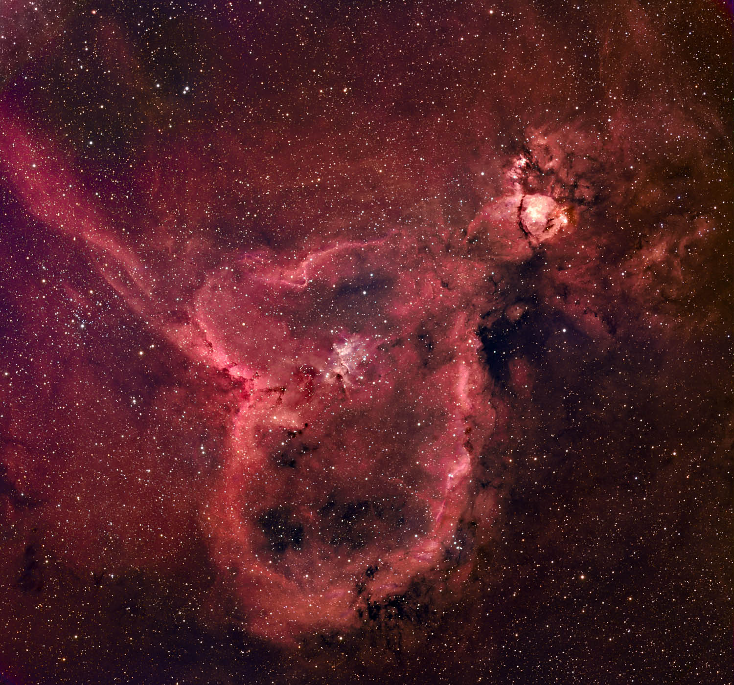 The Heart Nebula