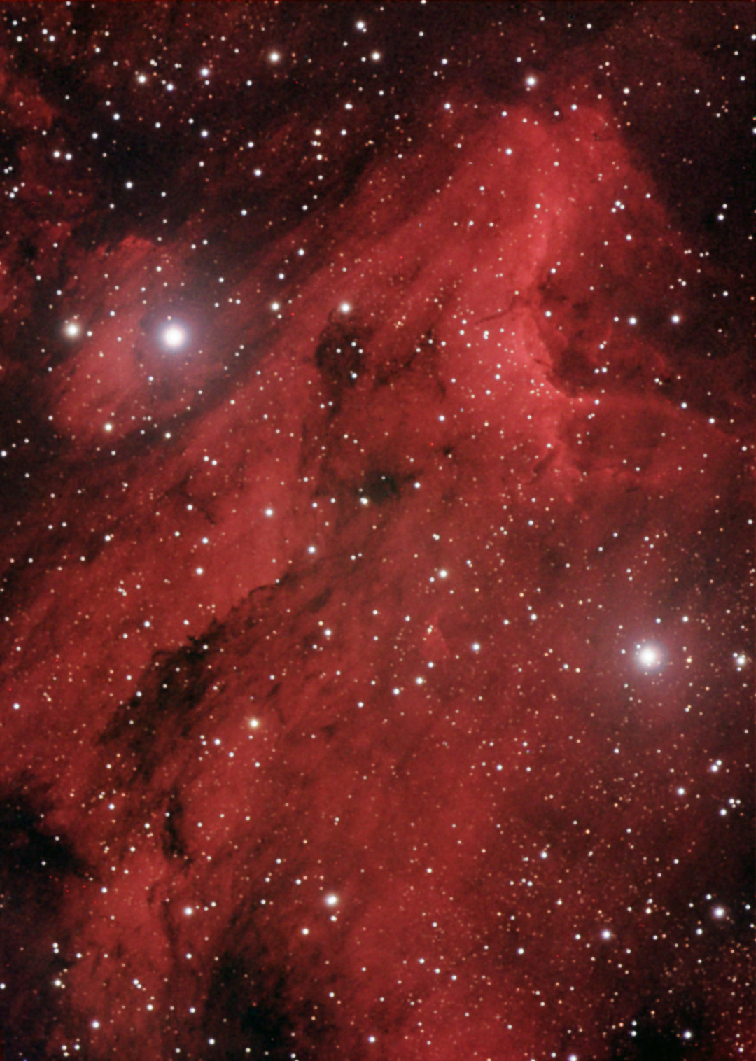 Pelican Nebula (IC5070)