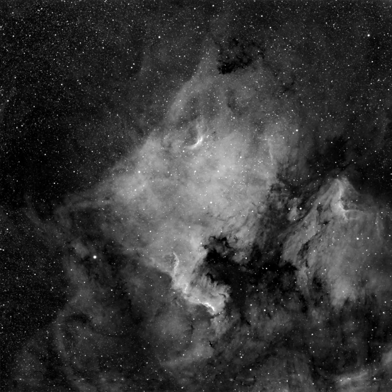 NGC 7000