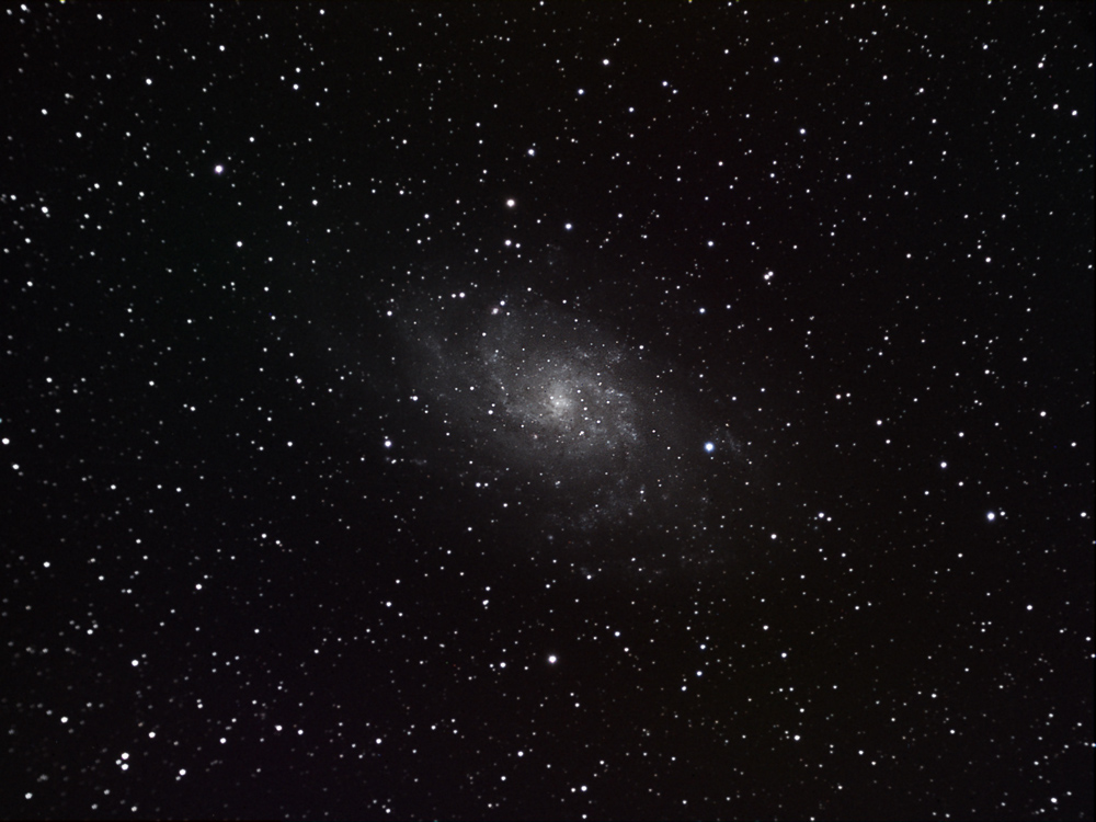 M33