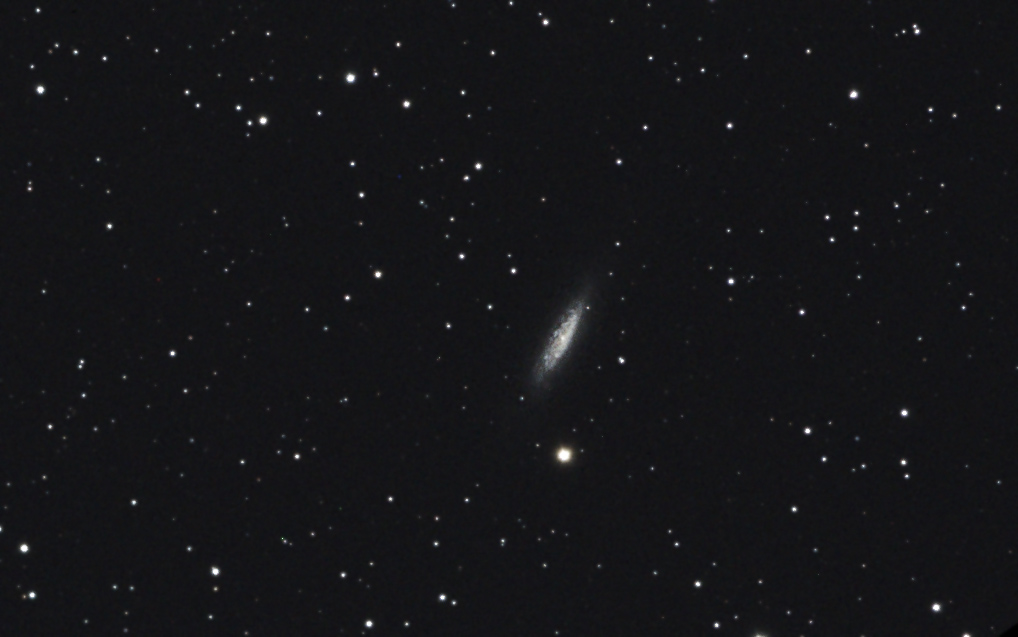 NGC6503