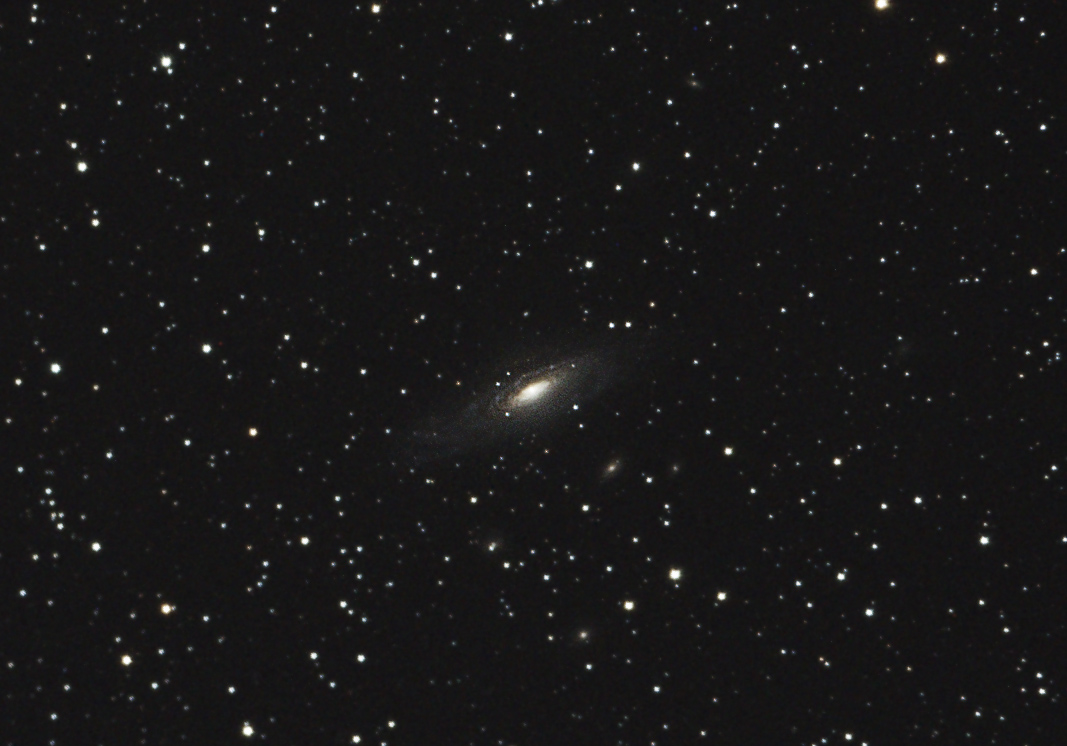NGC7331