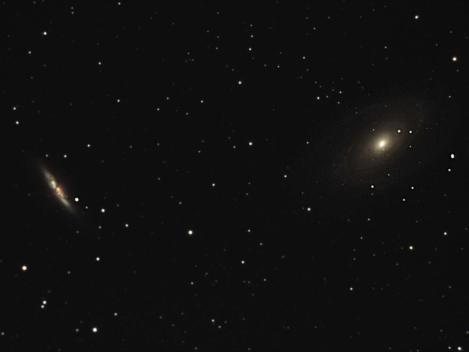 M81+M82