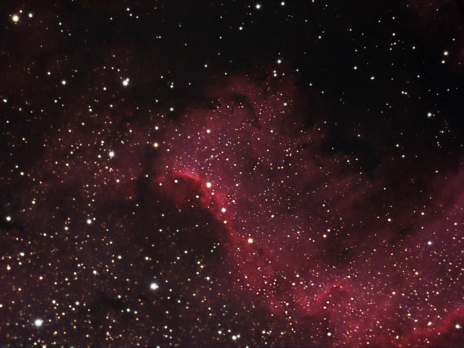 NGC7000