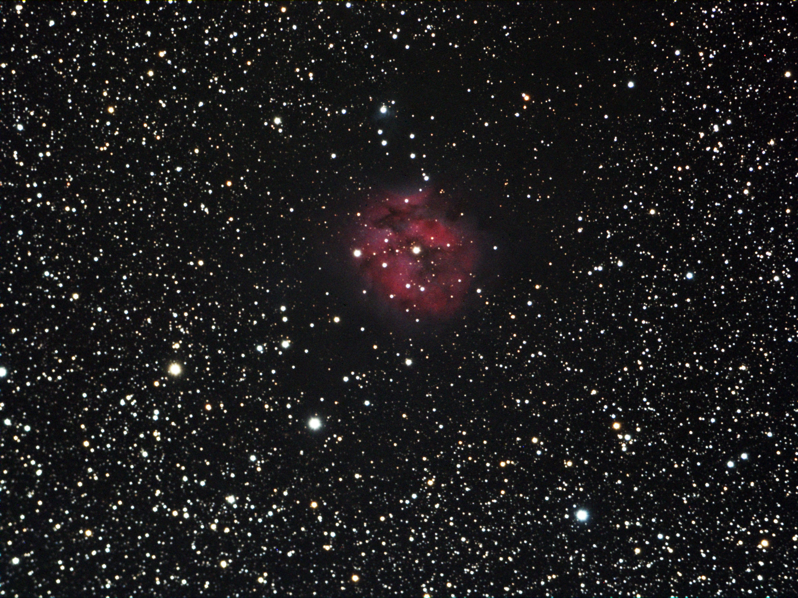 IC5146