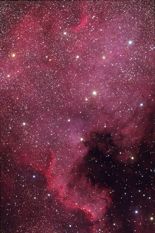 NGC7000