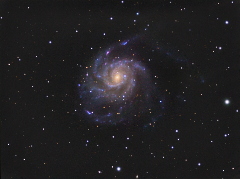 M101