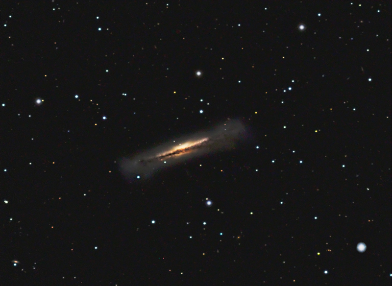 NGC3628