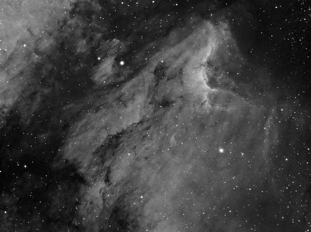 Pelican nebula
