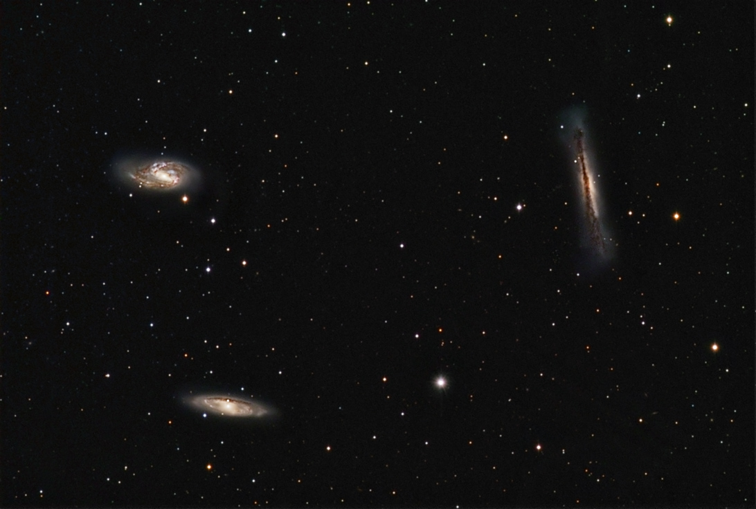 Leo Trio