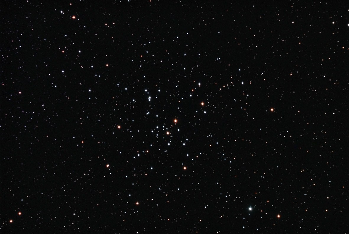 M41