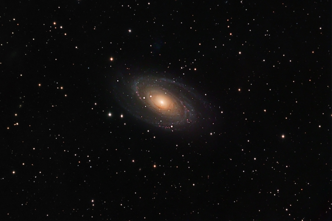 M81