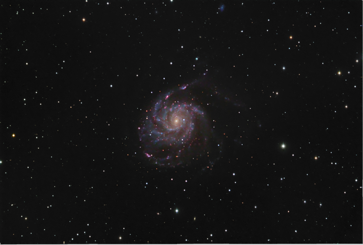 M101