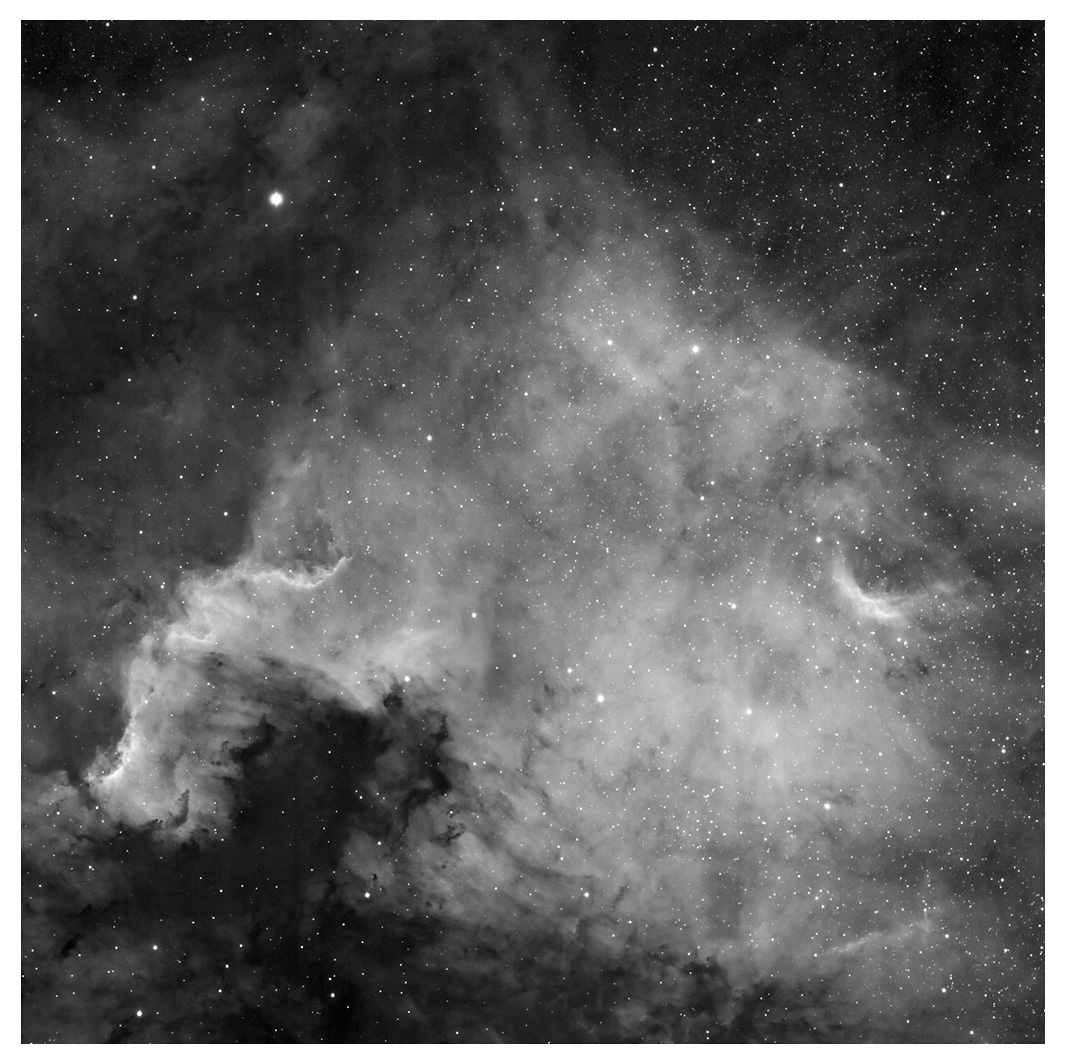 NGC 7000 in Ha