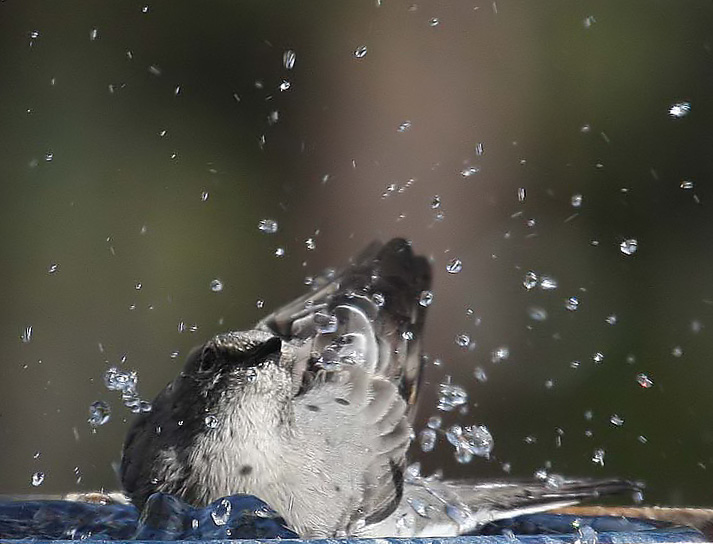 Bathing solitaire