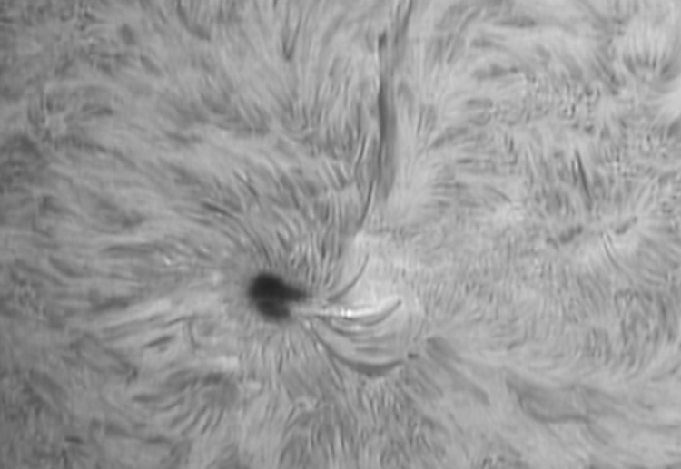 Sun surface