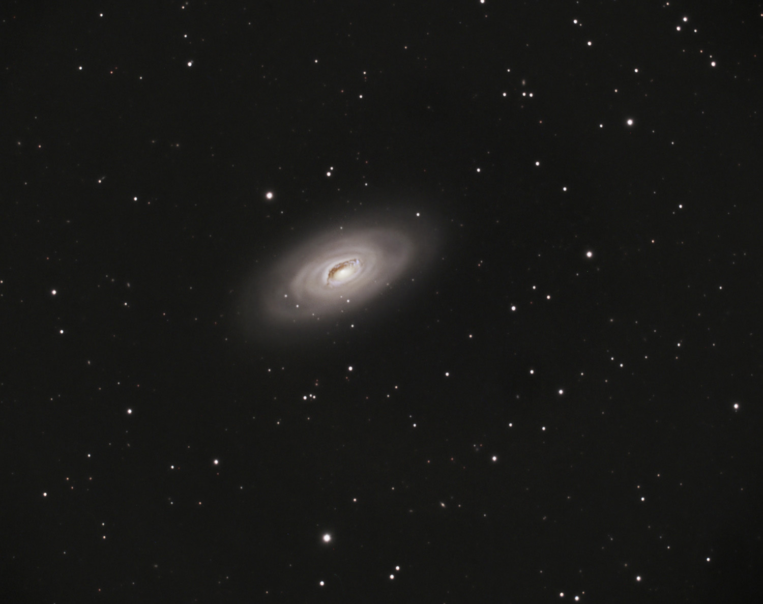 M 64 black eye galaxy