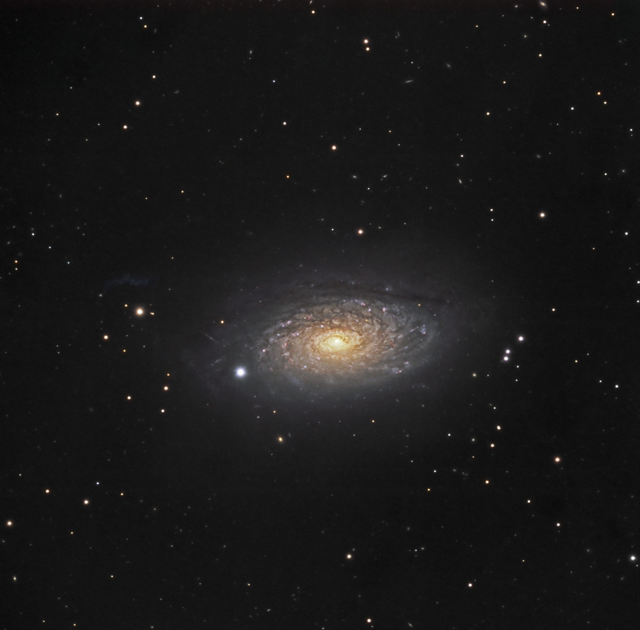 M63