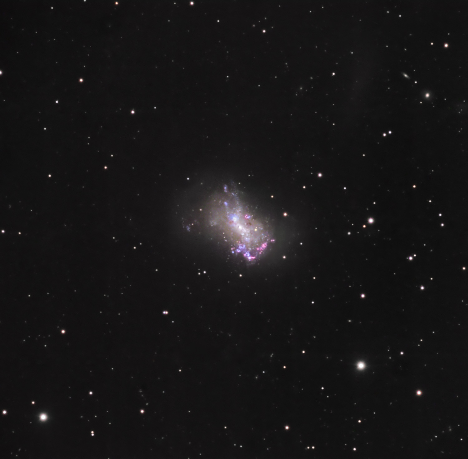 NGC 4449