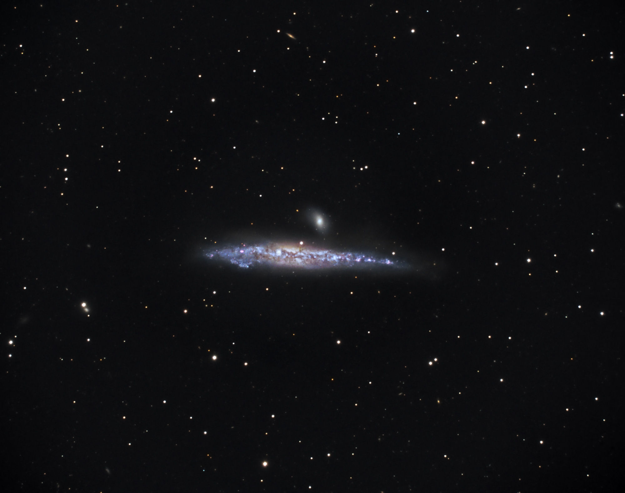 NGC 4631 The Whale