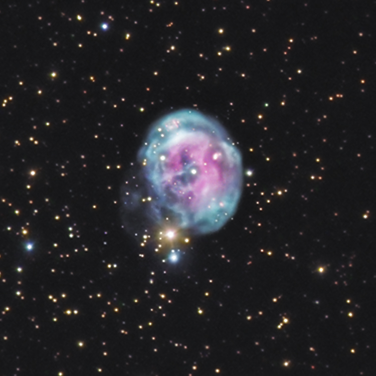 Collaborative Fetus Nebula