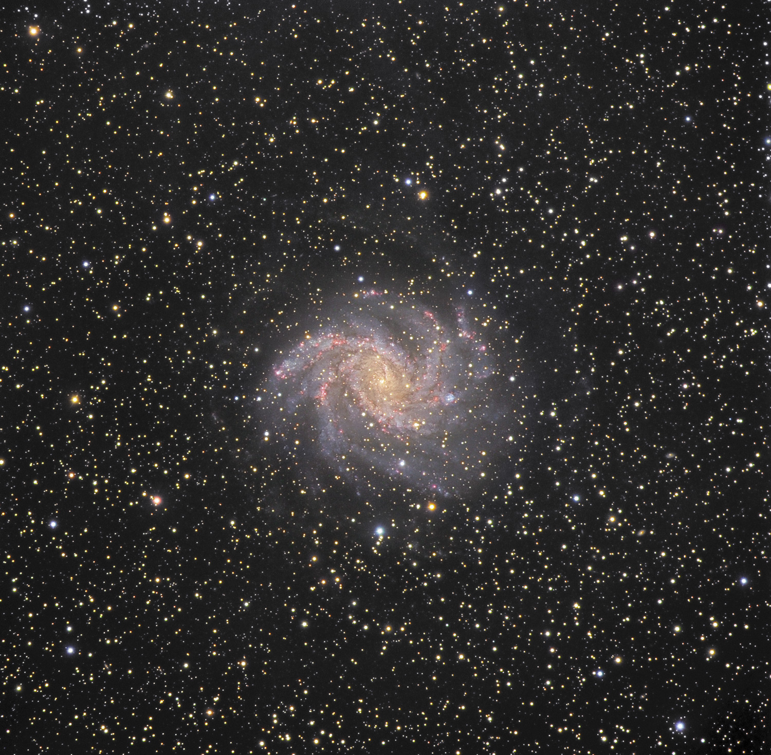 NGC 6946
