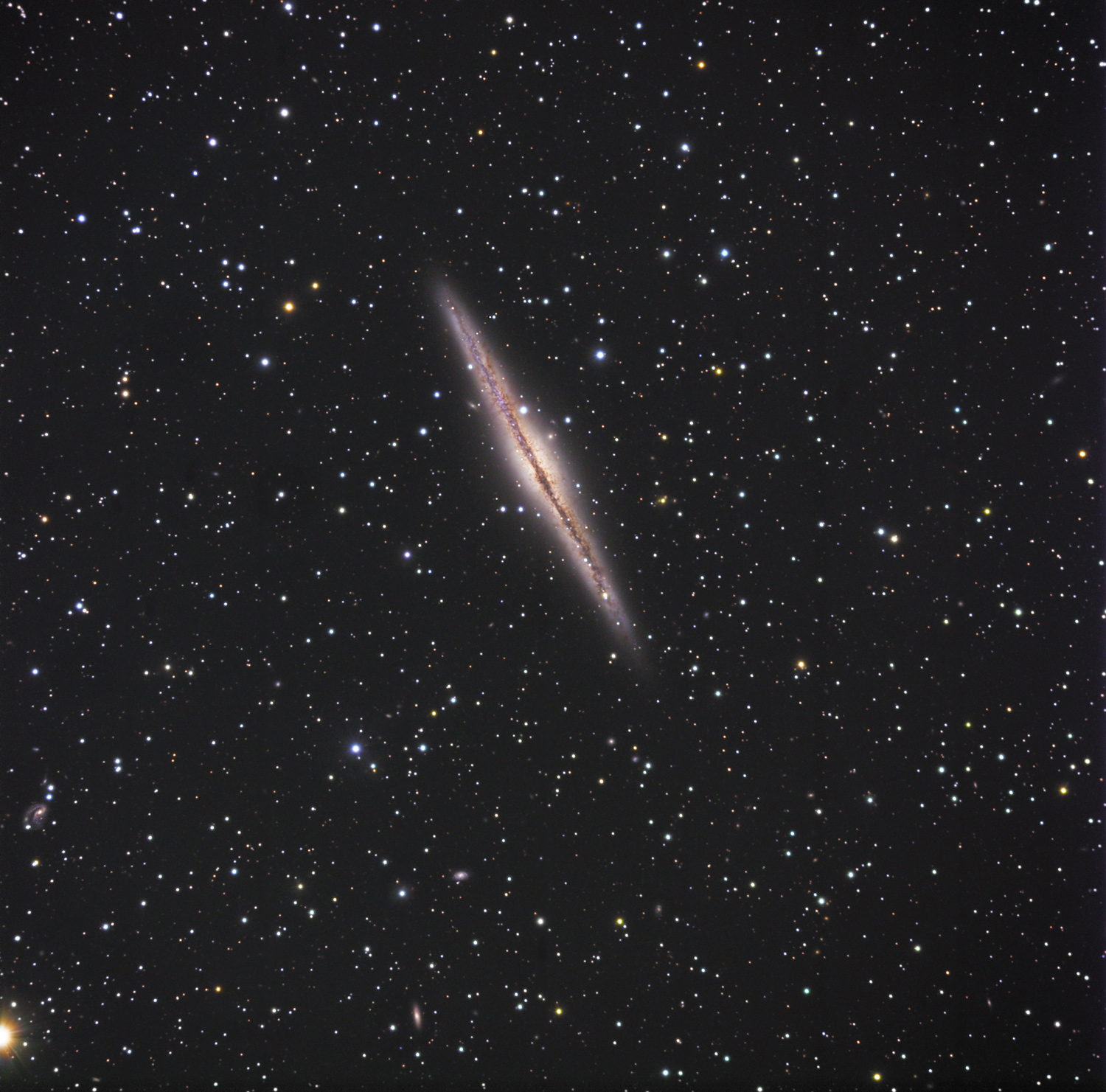 NGC 891