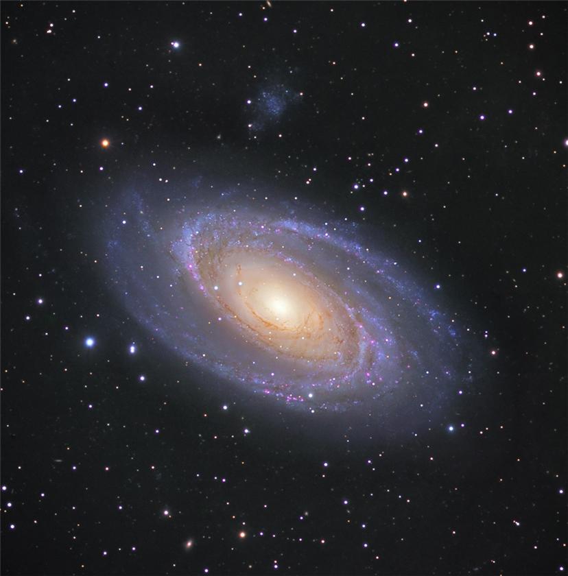 M 81