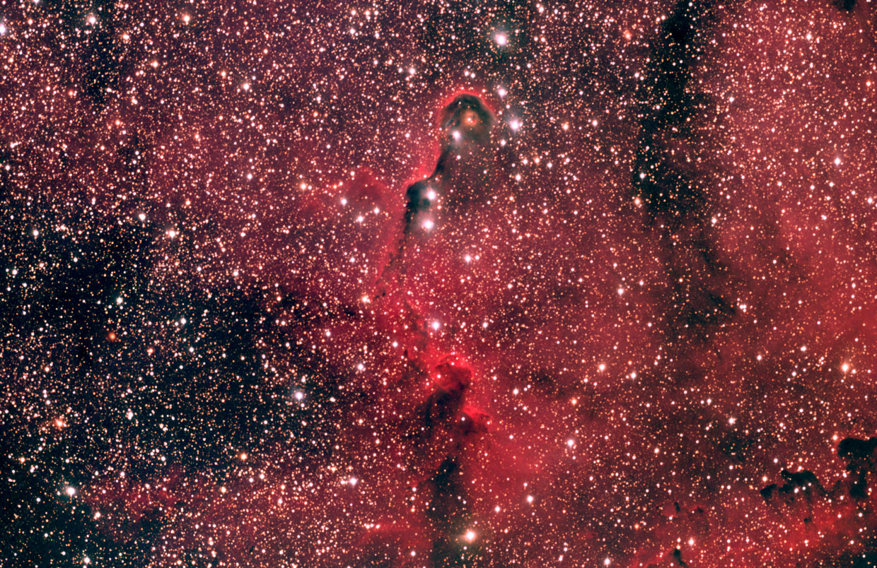 vdB142 Elephant Trunk