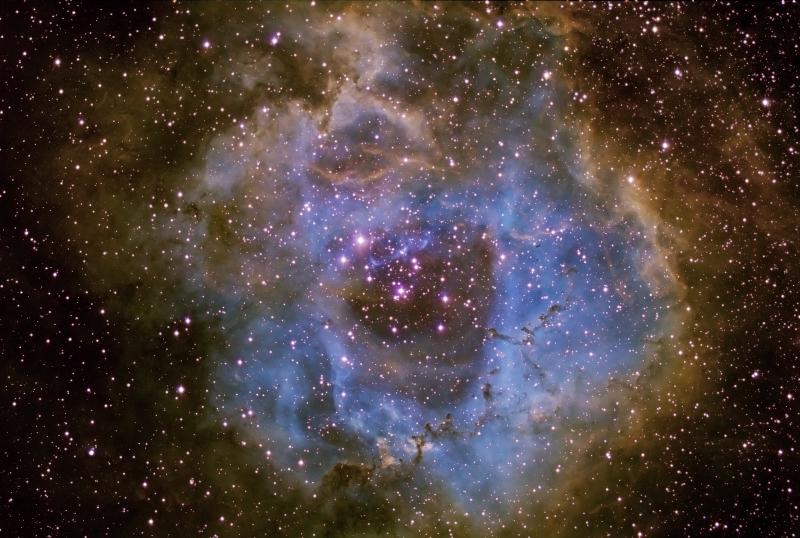 NGC2244 Rosette Narrowband