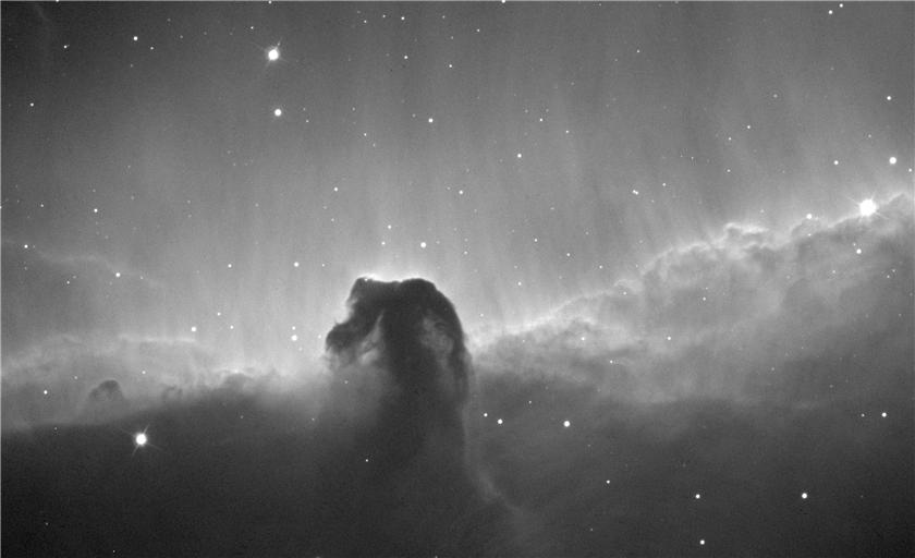 Horsehead