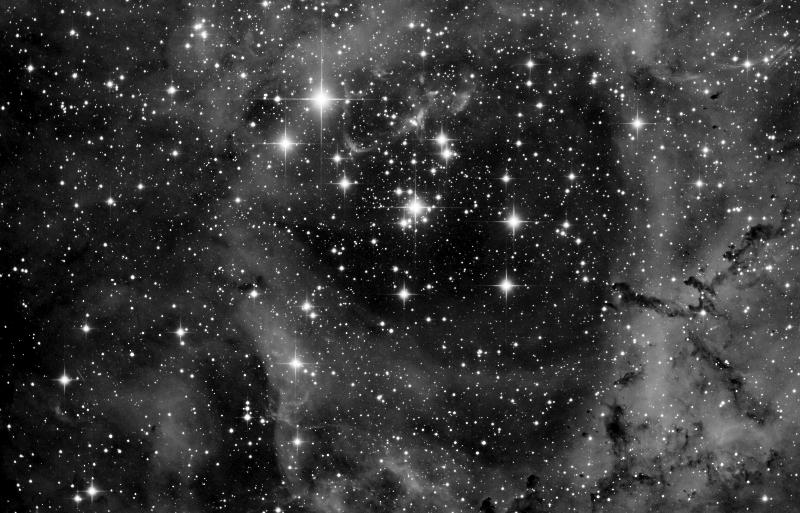Rosette Core
