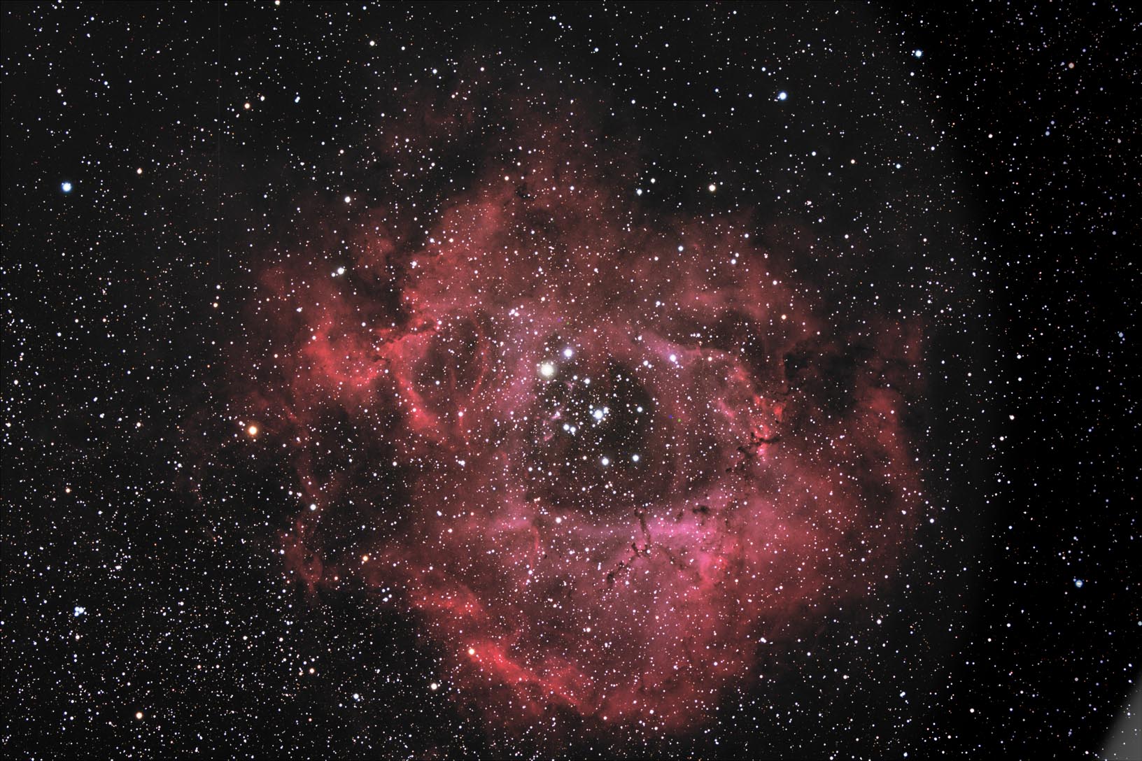 Rosette