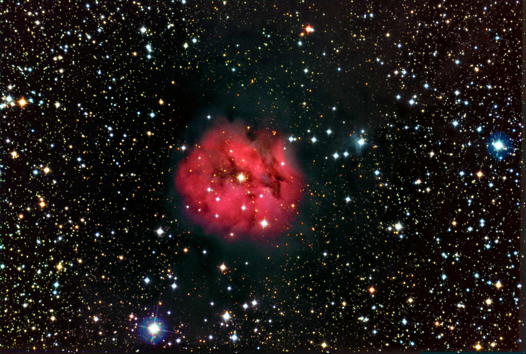 The Cocoon Nebula