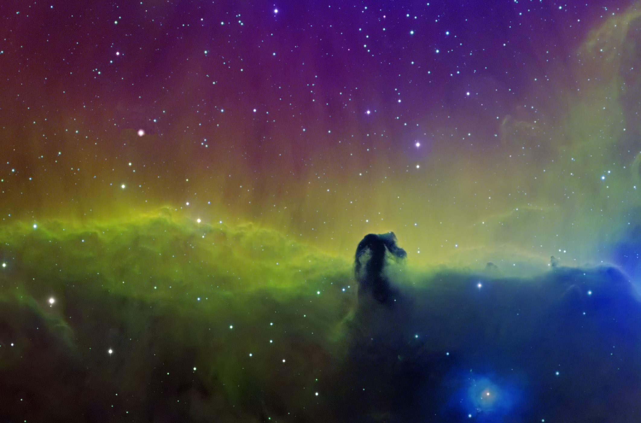 Horsehead