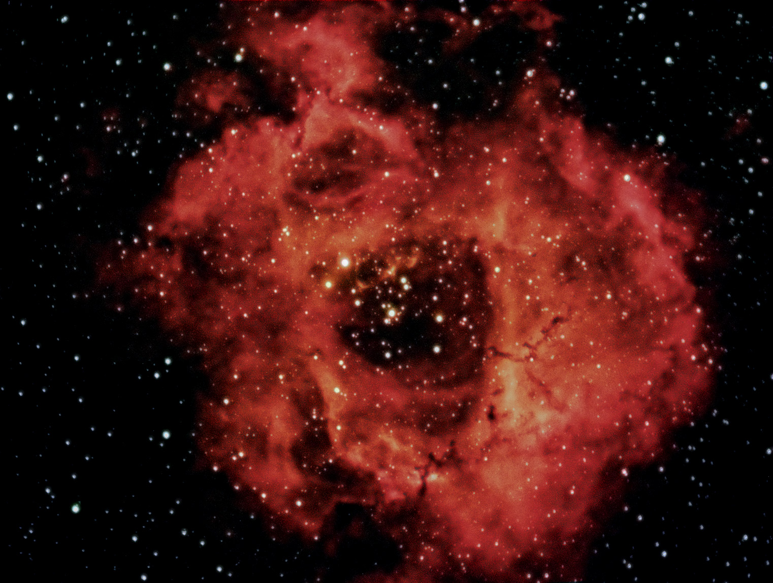 Rosette Nebula